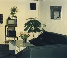 Delta-inside (15)